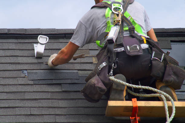 Best Roof Insulation Installation  in Shannon, GA