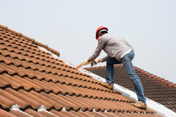 Best Slate Roofing  in Shannon, GA