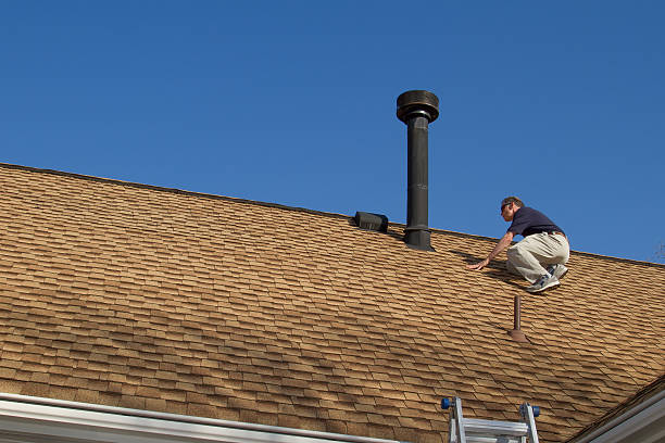Best Roof Repair  in Shannon, GA